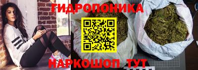 кокс Донской
