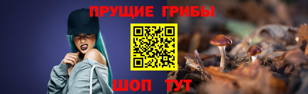 Псилоцибиновые грибы мицелий  Вход с VPN  Луга 